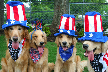 4TH OF JULY GUIDELINES FOR YOUR PETS
