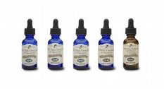 cbd oil for pets - alternative seizure treatment for dogs and cats - Beastie Boutique pet supplements in vancouver wa